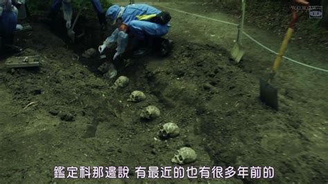 每天一个真实案件：郑州一拉杆箱内发现女尸，女尸露出骨头死亡超三月 - 知乎