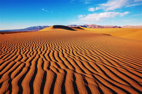 中国治沙人坚持不懈，打造世界第一条沙漠绿色长廊__凤凰网