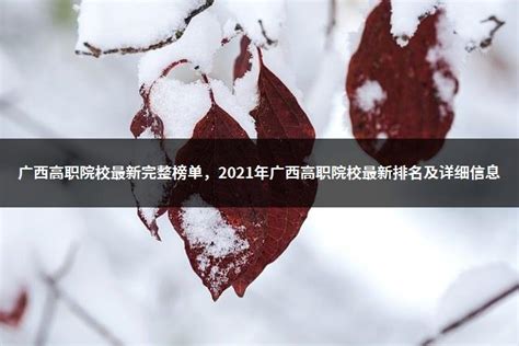 广西高职院校最新完整榜单，2021年广西高职院校最新排名及详细信息 - 高职高考网