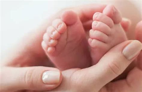 兔年出生的宝宝取名宝典 2023寓意平安的孩子起名-周易起名-国学梦