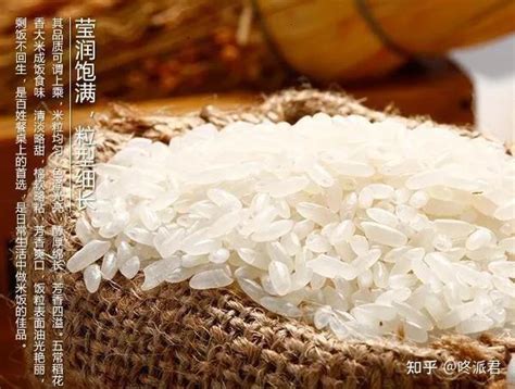 水稻是大米吗,水稻和小麦都是大米吗,小米粮食百科_大山谷图库
