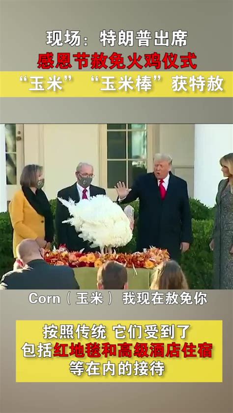 现场：特朗普出席感恩节赦免火鸡仪式，“玉米”“玉米棒”获特赦_凤凰网视频_凤凰网