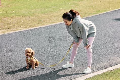 在公园牵着狗跑步休息的少女高清图片下载-正版图片501807443-摄图网