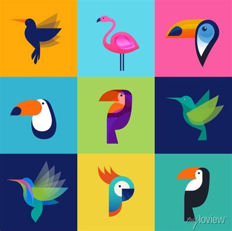 Aves tropicais - conjunto de ícones do vetor cartazes para a parede ...