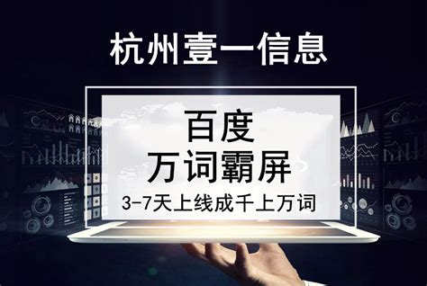 杭州网站SEO优化公司-百度排名外包服务-杭州壹一信息技术有限公司