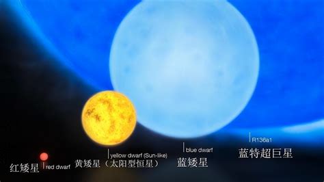 【E.N.】每周一星(8) | 参宿七——年轻明亮的蓝超巨星_恒星