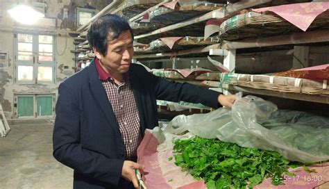 中国农业科学院蚕业研究所组织召开2021年国家蚕品种试验总结视频会议