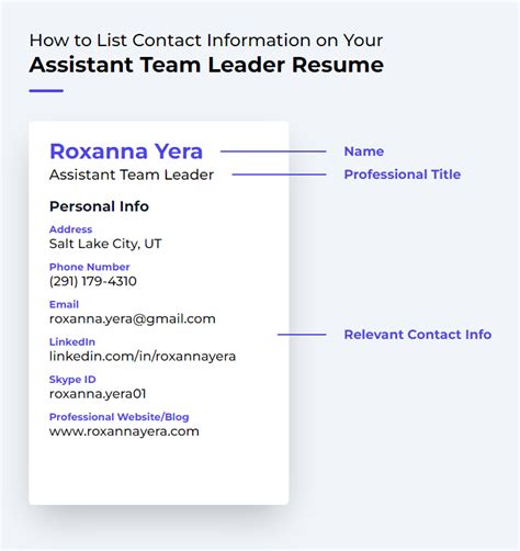 Assistant Team Leader Resume Samples | QwikResume