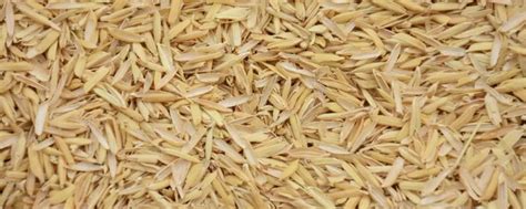 稻谷壳的作用与用途 - 农敢网