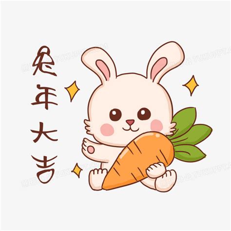兔子妹妹图片