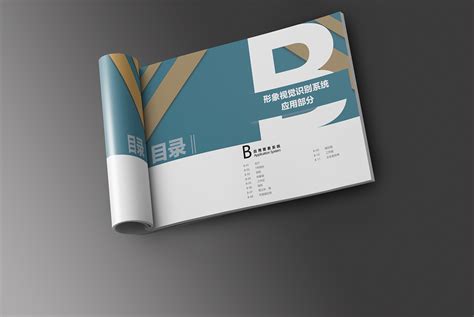 企业VI手册|平面|品牌|柒月凉 - 原创作品 - 站酷 (ZCOOL)
