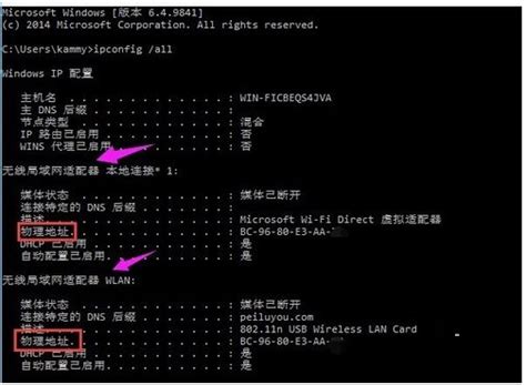 Win10怎么查电脑mac地址？-Win10查电脑mac地址的方法 - 极光下载站