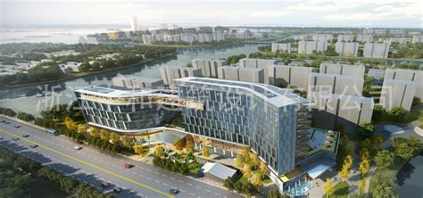 镜湖科技城建设再提速，打造大湾区创新发展新高地