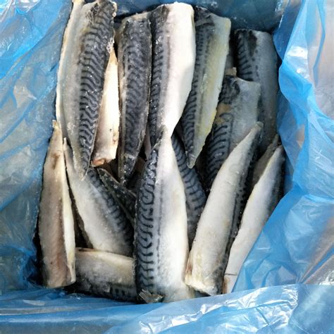青岛鲜鲅鱼上市价格有点高 一招教你识别鲜鲅鱼和冰冻鲅鱼|鲅鱼|青岛|价格_新浪新闻