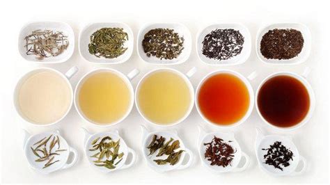 白茶属于什么茶系(白茶属于红茶还是绿茶)_金纳莱网