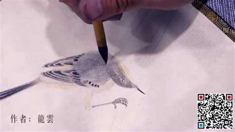 花鸟画谱 | 禽鸟的画法（上海中国画院花鸟组集体编绘） - 艺术教育 - 美术名家课堂