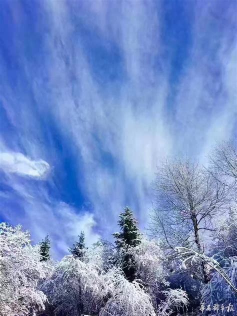 雪花飘飘最美的图片,北方雪花飘飘的图片,大雪纷飞图片_大山谷图库
