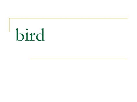 关于鸟的英文ppt_word文档在线阅读与下载_免费文档