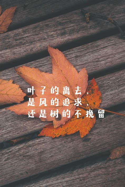 秋天的成语四字成语（这9个关于秋天的四字词语，描绘出了最美的秋天，快来一起看看） | 说明书网