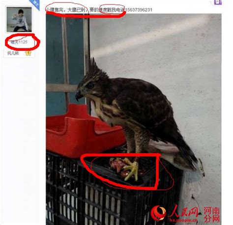 西畴县查处一起非法猎捕、贩卖画眉鸟案！ _www.isenlin.cn