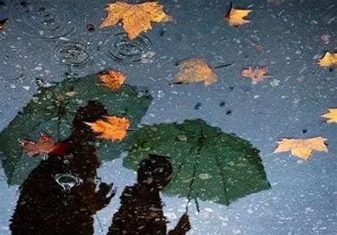 关于秋雨的心情说说句子 秋雨带字唯美图片 _八宝网