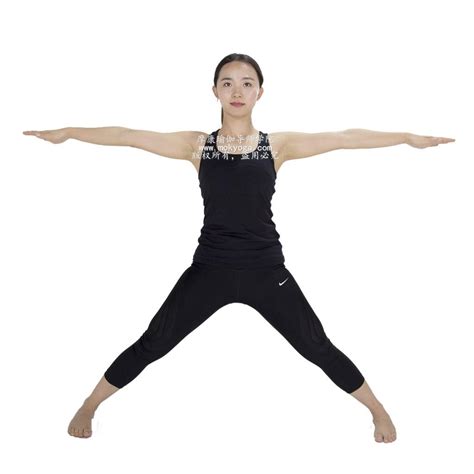 瑜伽初级——体式精准练习指南：四肢伸展式 - 知乎