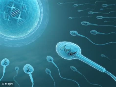 精子和卵子结合时经历了什么？3D演示全过程，看完会心一笑