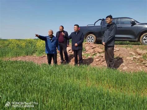 程军才到明光市调研指导农业生产工作_滁州市农业农村局