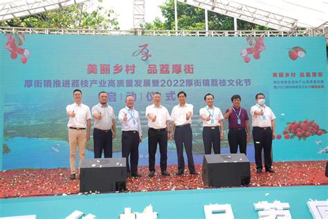 2022厚街镇荔枝文化节启动仪式举行，共话厚街美“荔”产业