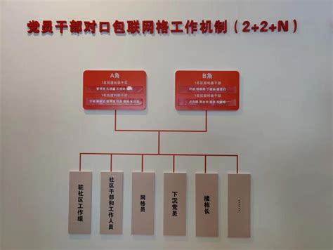 “三网融合”：广州南沙在基层治理现代化中走在前列的新探索-中国网