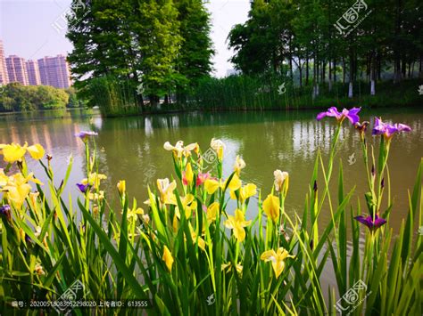 2023常州淹城春秋乐园位于江苏省常州市，是中国最为古老也最为完整的地面城池遗址_淹城春秋乐园-评论-去哪儿攻略