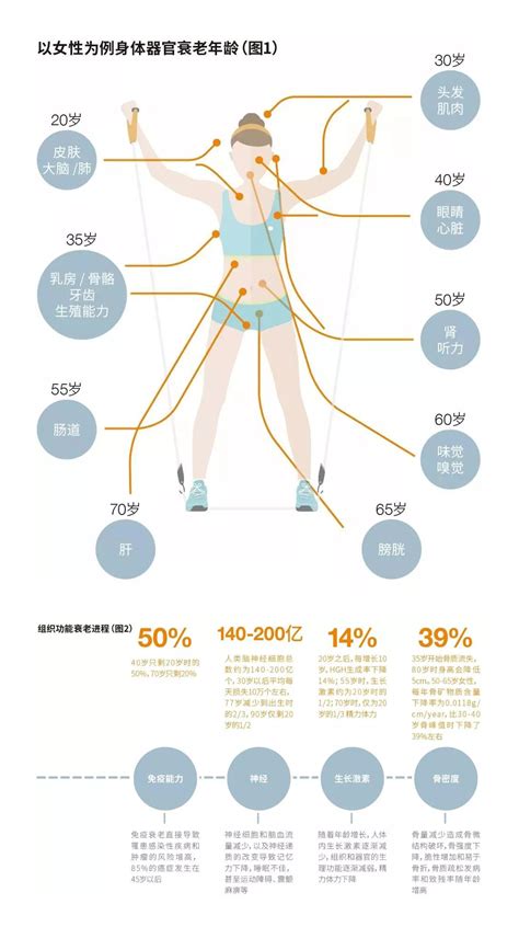 【健康】人体各大器官衰老时间表-Mac920的个人博客