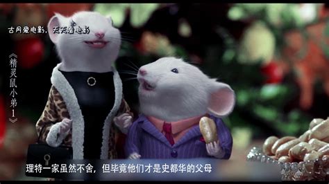 猫和老鼠大电影-动漫-腾讯视频