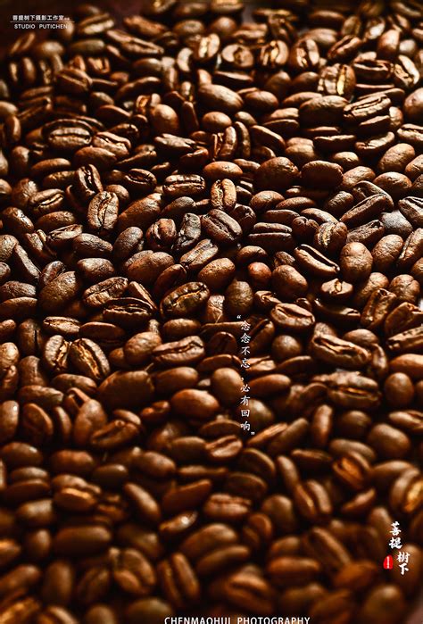 咖啡豆创意微缩素材图片免费下载-千库网