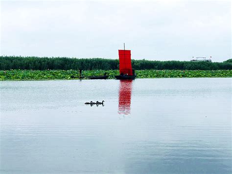 洪湖生态旅游区官方网站