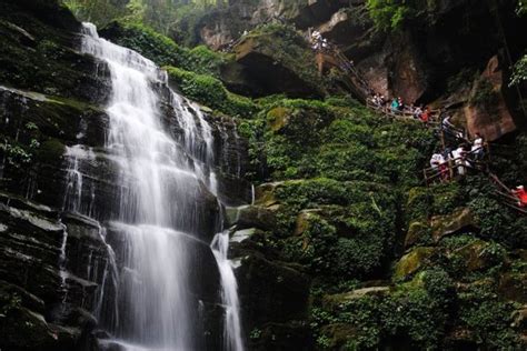 碧峰峡旅游攻略（雅安碧峰峡，到天然氧吧避暑纳凉，看萌萌的大熊猫） | 说明书网