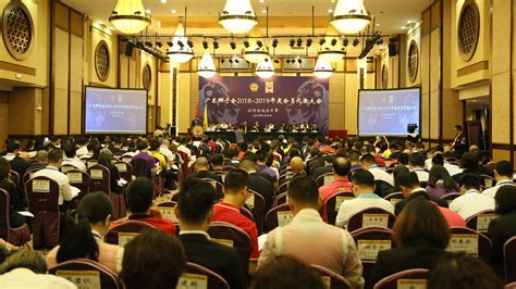 广东狮子会 Guangdong Lions Clubs(D381)
