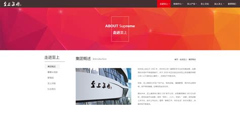 企源科技-上海网站建设成功案例-明企科技