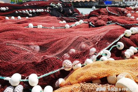 从“撒网打鱼”到“上网卖鱼” 看君山渔家女的电商转型路 - 基层传真 - 新湖南
