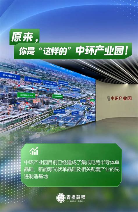 中环宁夏产业园分布式光伏项目全容量并网发电-宁夏新闻网