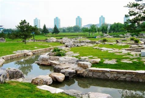 北京海淀这个小区空地变身口袋公园，如何确保改造满足居民需求？|公共空间|海淀区|规划师_新浪新闻