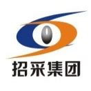 重庆国际投资咨询集团有限公司 - 企业控股信息查询 - 爱企查