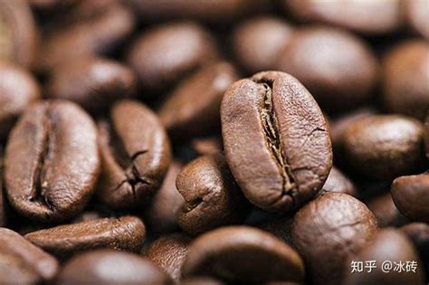 新手想开始尝试单品咖啡，选择哪种咖啡豆比较好? - 知乎