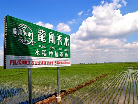 五常市凤凰山农业发展有限公司|五常稻花香大米|黑龙江大米|东北大米|大米厂家