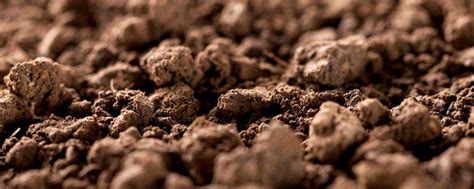 8种给土壤消毒方法-农百科