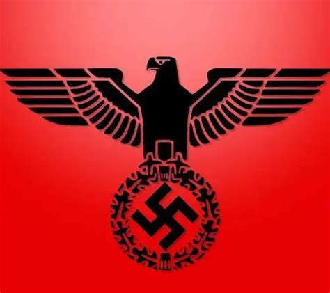 纳粹德国的王牌，党卫军帝国师凶猛异常，其首领绰号为“爸爸”|战役|帝国师|党卫军_新浪新闻