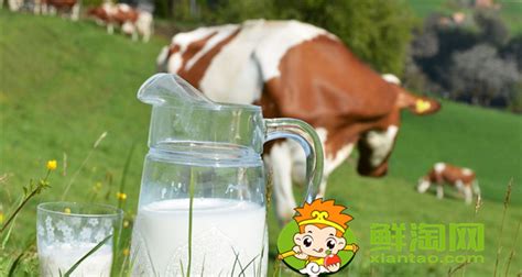 每天一杯鲜羊奶，助你整个冬季暖心暖胃~ - 瑞康乳业