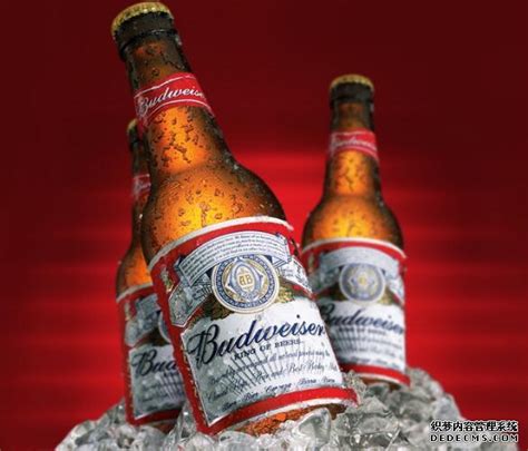 （啤酒的排名）世界十大啤酒品牌排名，公认最好喝啤酒你都喝过吗
