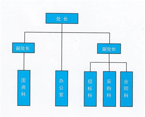 国有资产管理处分工