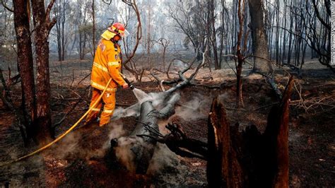 澳大利亚大火肆虐：两个州进入紧急状态、超300只考拉葬身火海.....